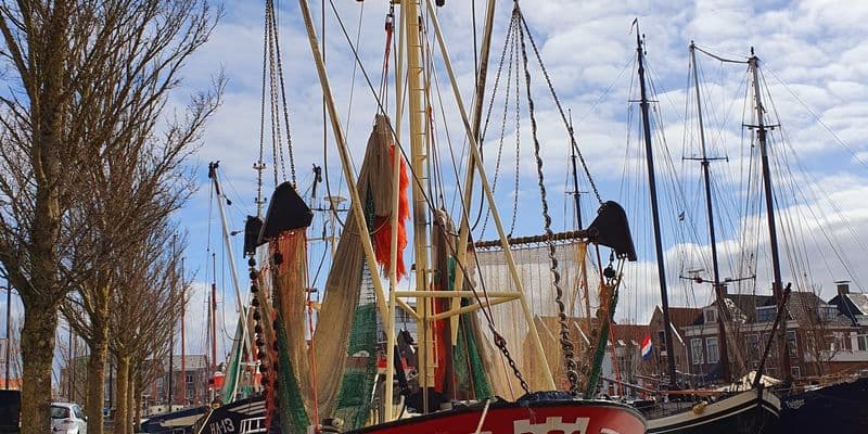Barcos históricos recorren las provincias holandesas