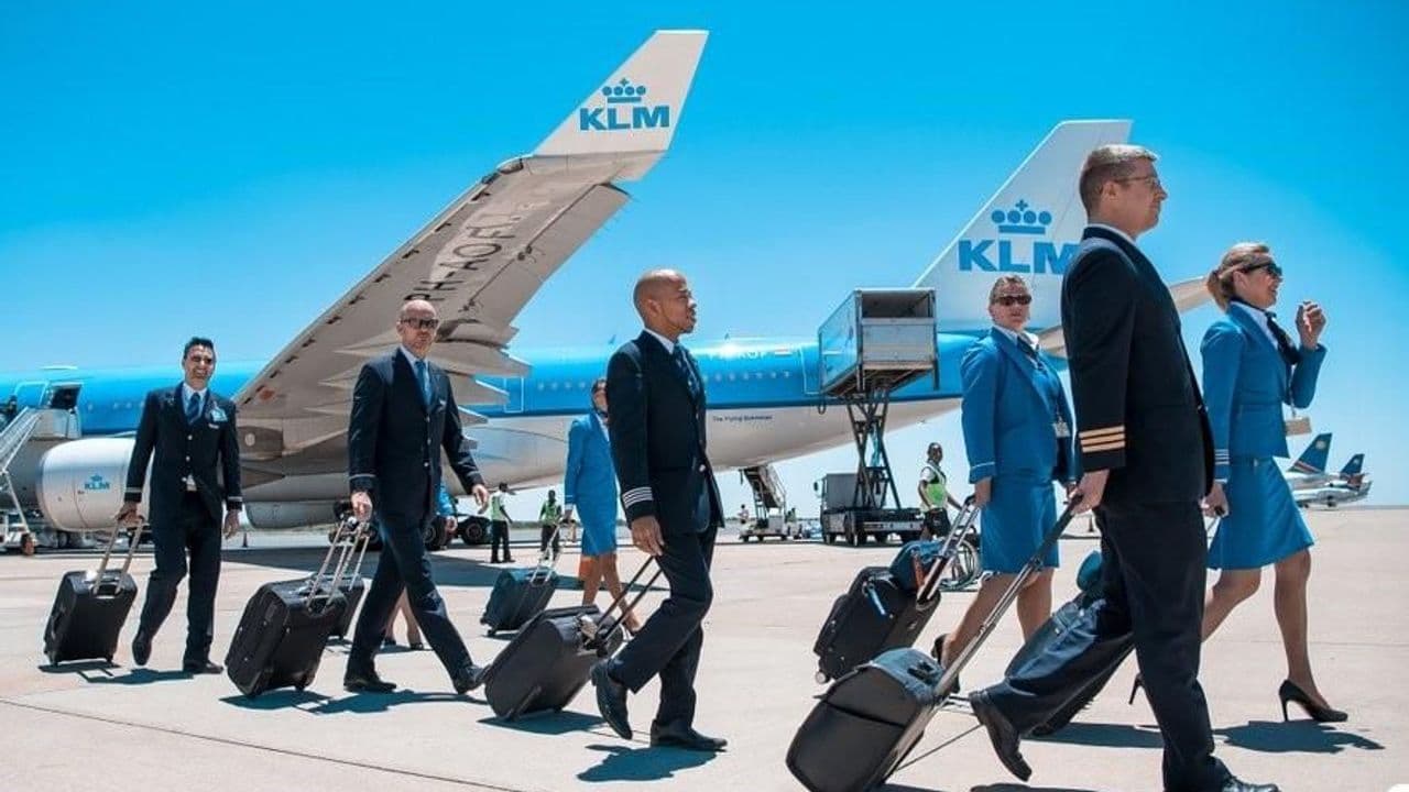 Cabin Crew KLM