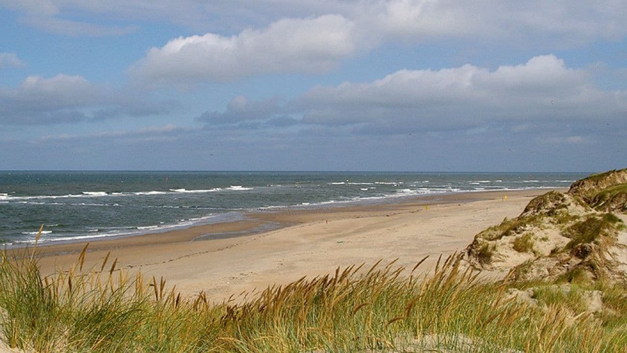 Playa en Texel