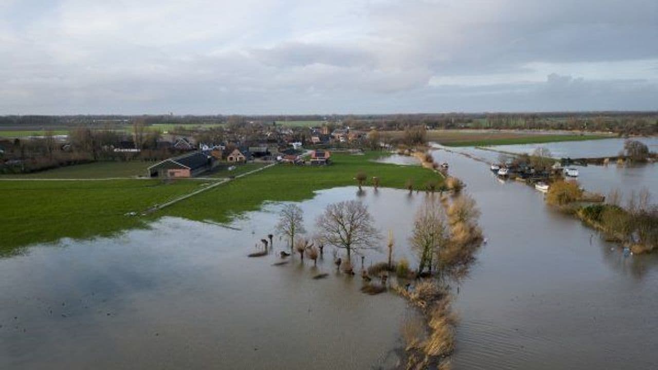 Río Rhine