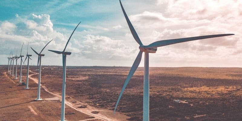El auge de las energías renovables en los Países Bajos