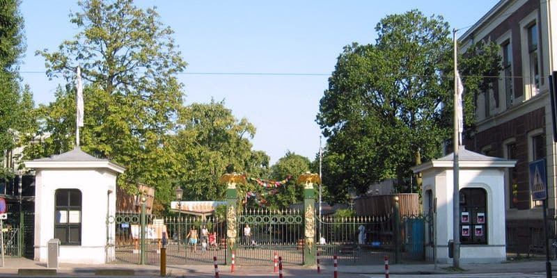 Ámsterdam debatirá transformar Artis Zoo en un parque público