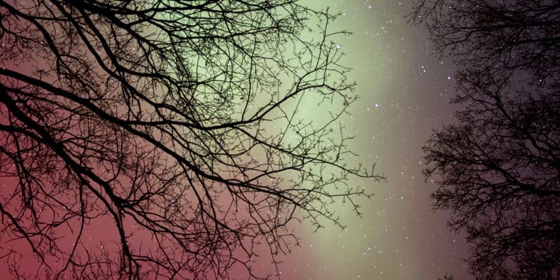 Auroras boreales iluminaron el cielo de los Países Bajos