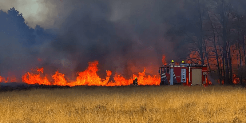 Bomberos en el incendio de Ede