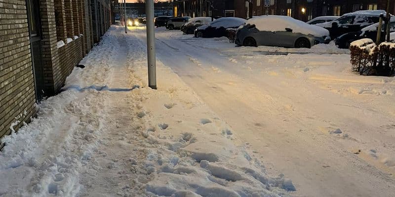 La autoridad de carreteras de Holanda recomienda teletrabajar ante la fuerte nevada