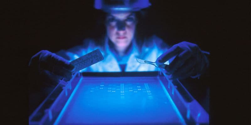 Científico analizando pruebas