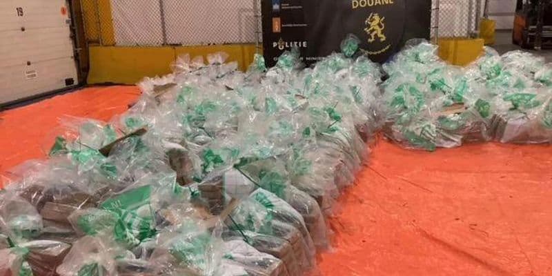 Cocaína incautada en plátanos ecuatorianos en Vlissingen