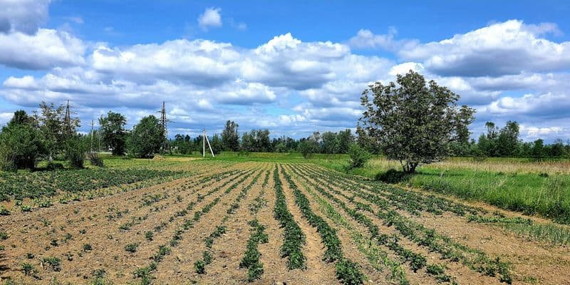 Abril registra récord de lluvias en los Países Bajos