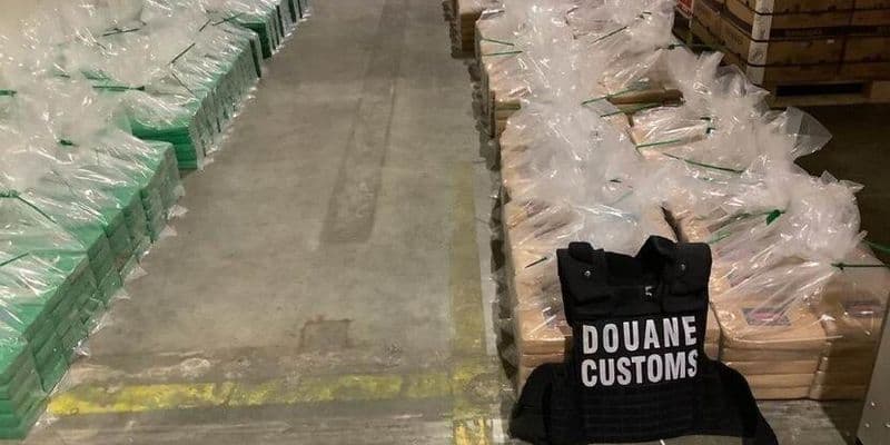 Hallan 334 kilos de cocaína en plátanos colombianos en Vlissingen