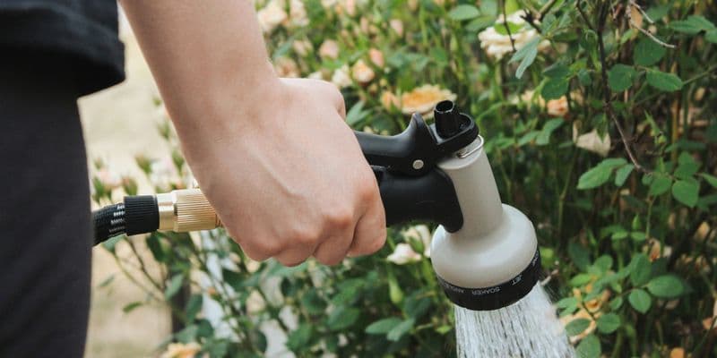 Manguera regando jardín