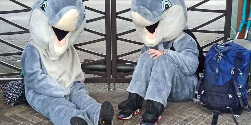 Activistas bloquean las entradas del delfinario de Harderwijk