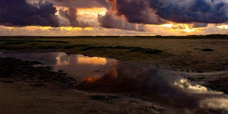 El gobierno debe decidir sobre la extracción de gas en el mar de Wadden