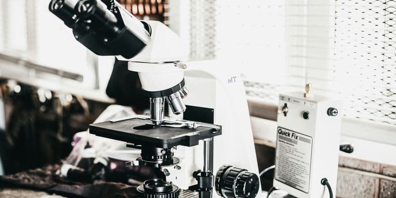 Países Bajos busca recuperar su liderazgo en tecnología