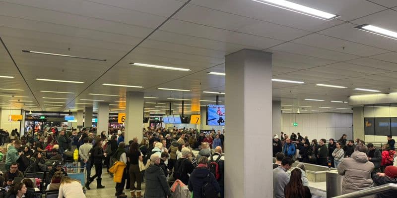 Fin de semana caótico en Schiphol: más de 290 vuelos cancelados
