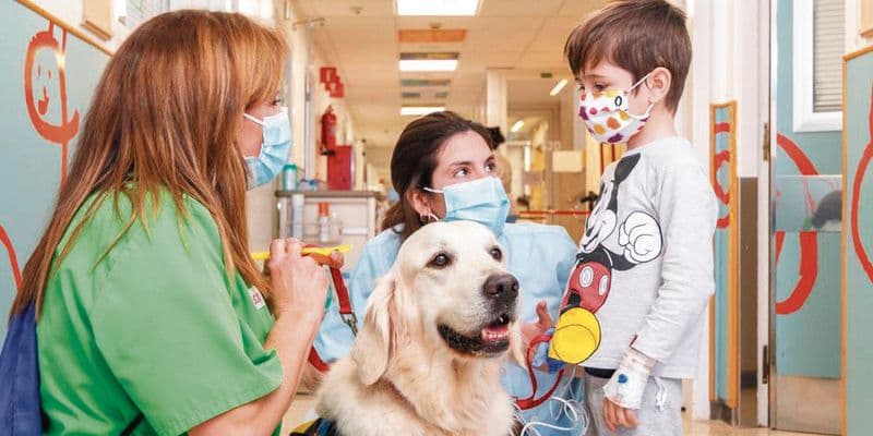 Perro en hospital visitando familiar