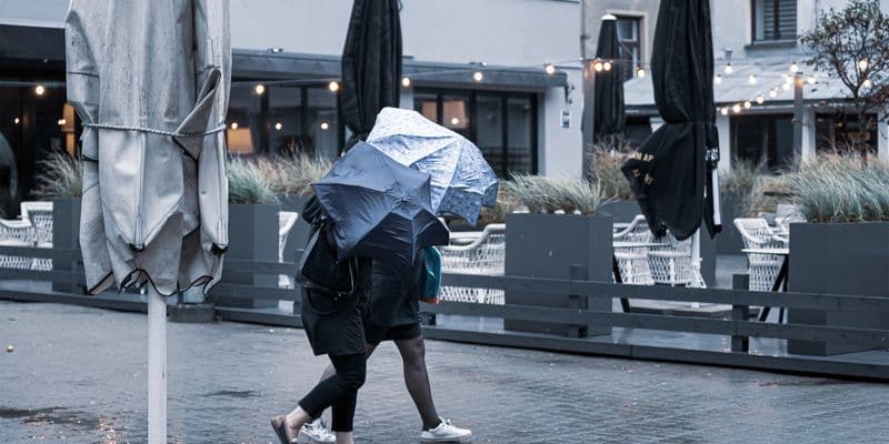 Personas caminando bajo el viento y la lluvia