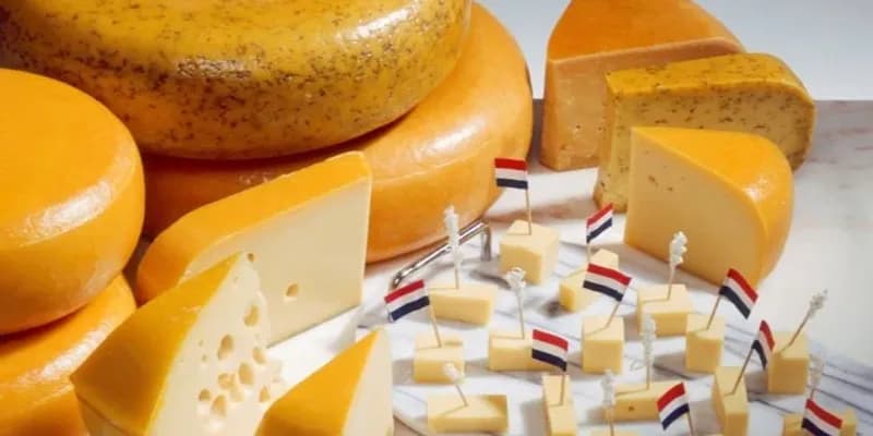 Los quesos más famosos de Holanda (y dónde probarlos)