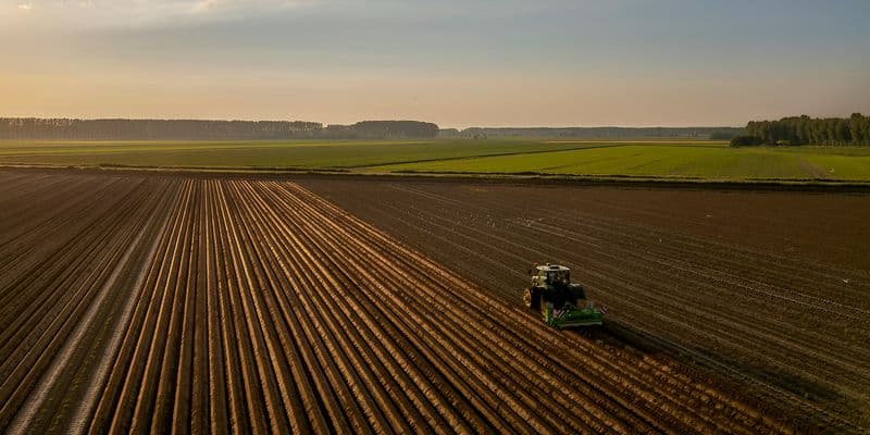 Agricultores de Zuid-Holland rechazan el nuevo plan de nitrógeno