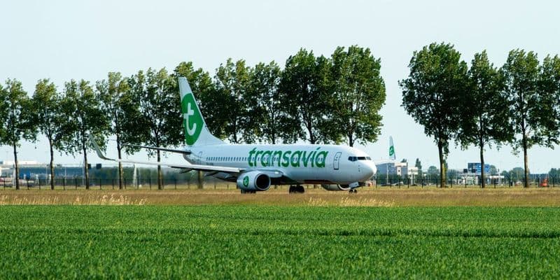 Cancelaciones de Transavia afectan a miles de viajeros