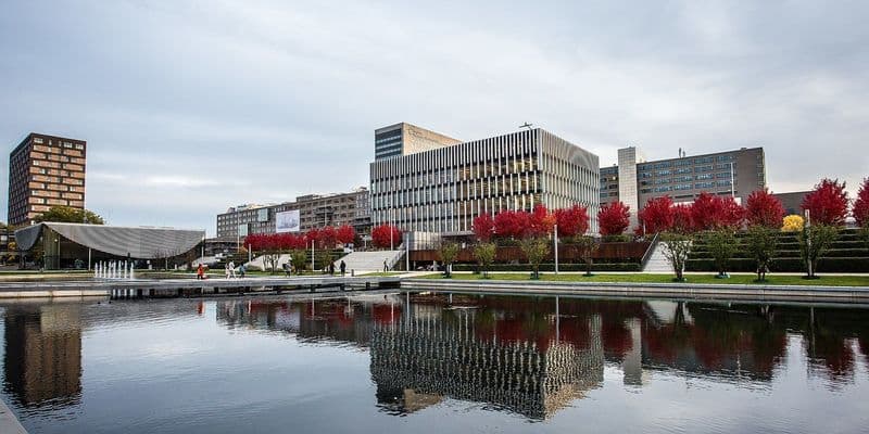 Universidad de Róterdam suspende nuevas colaboraciones con Israel y Palestina