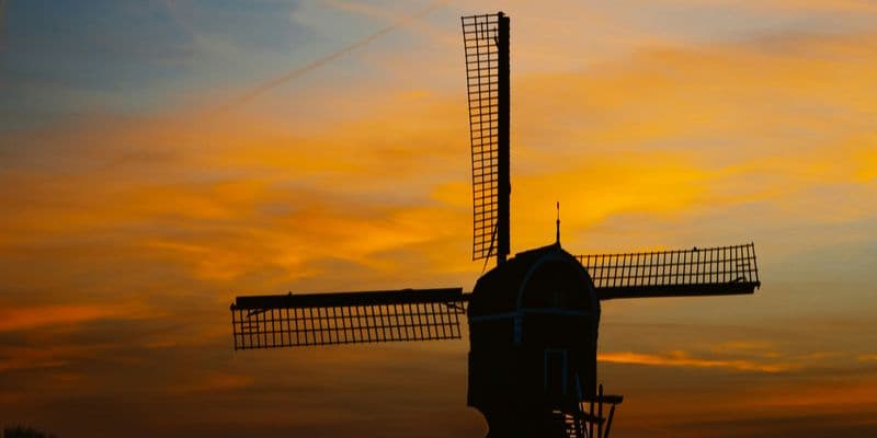 ¿Primavera en febrero? Porque tenemos temperaturas altas y polvo sahariano