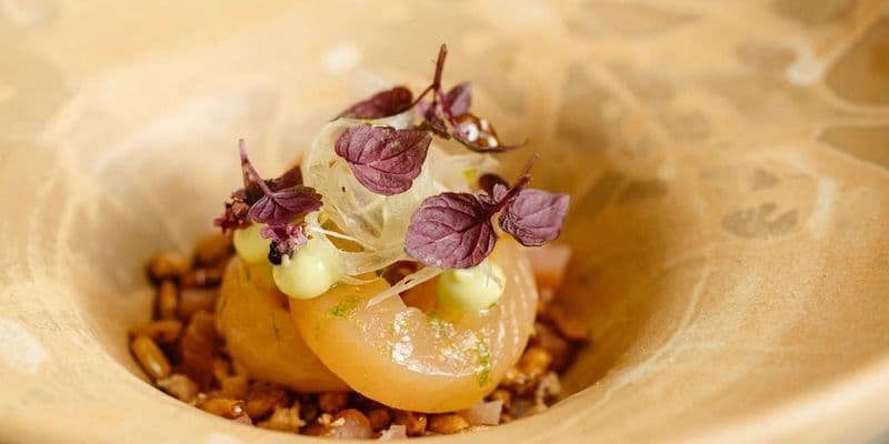 Ocho nuevos restaurantes en la Guía MICHELIN 2025 de los Países Bajos